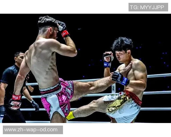 少林武术与泰拳的巅峰对决探讨传统与现代格斗技艺的碰撞与融合